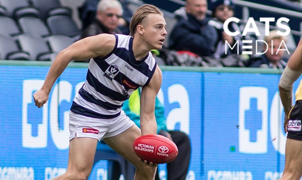 Jackson McLachlan is having a big impact for the VFL Cats Jackson McLachlan is on a rapid rise through the ranks. - VFL,Geelong Cats